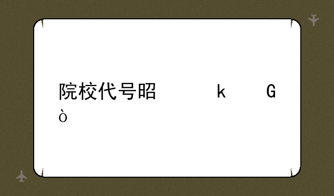 院校代号是多少？